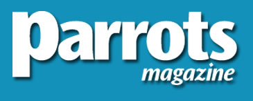 ParrotsMagzine Logo